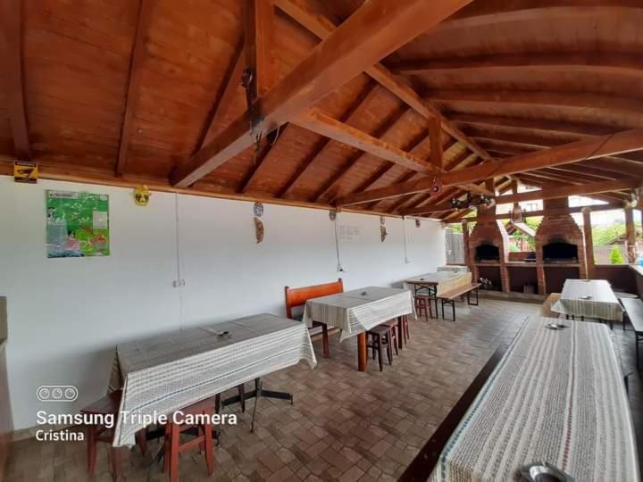 Hotel Casa Trache Călimăneşti Zewnętrze zdjęcie