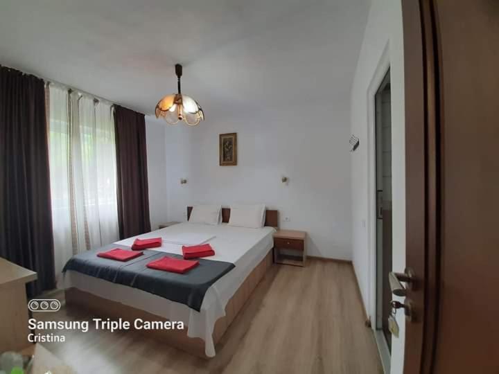 Hotel Casa Trache Călimăneşti Zewnętrze zdjęcie