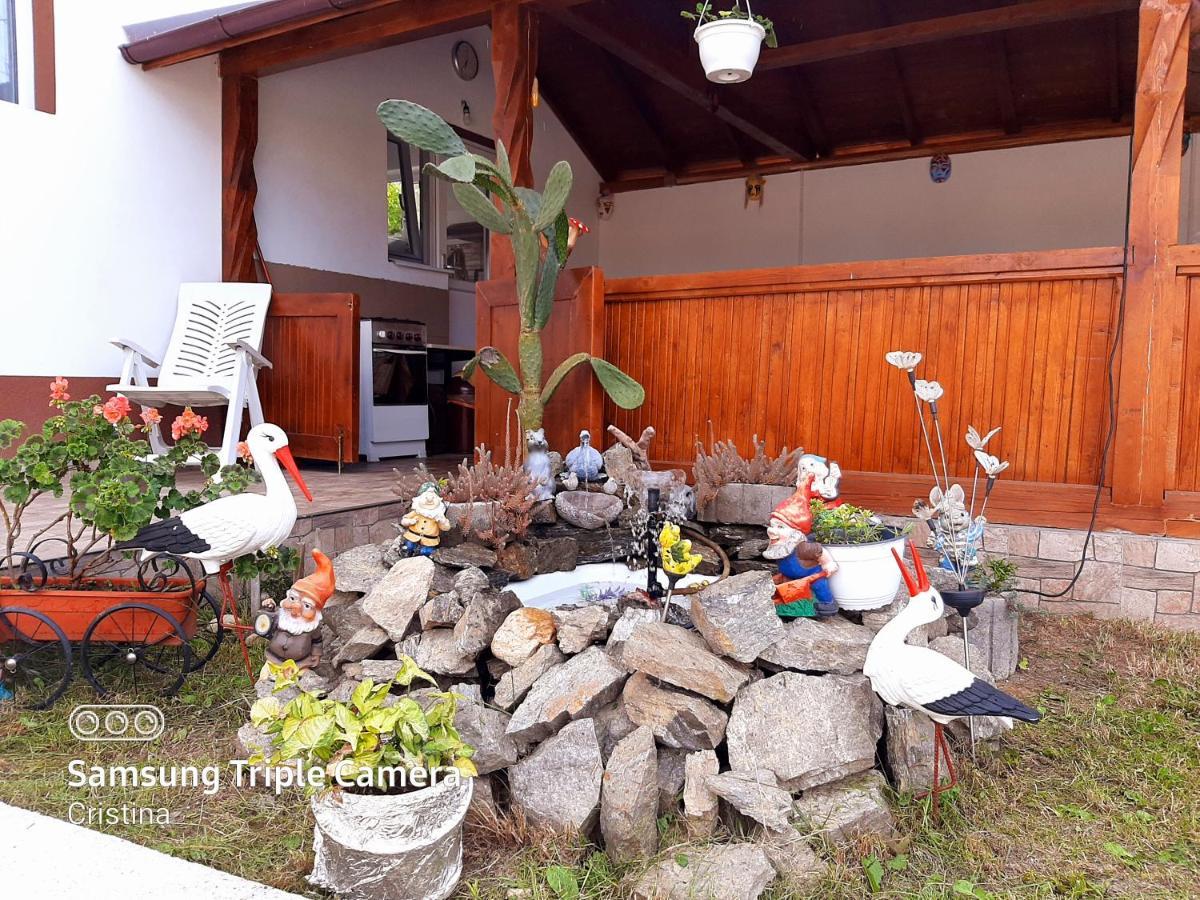 Hotel Casa Trache Călimăneşti Zewnętrze zdjęcie